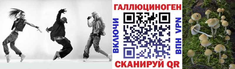 дарнет шоп  Буинск  Галлюциногенные грибы Magic Shrooms 